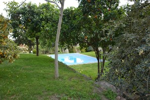 Pool - Villa de los Naranjos (Trujillo)