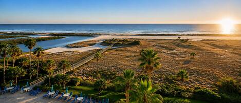 Plage, chaises longues, serviettes de plage