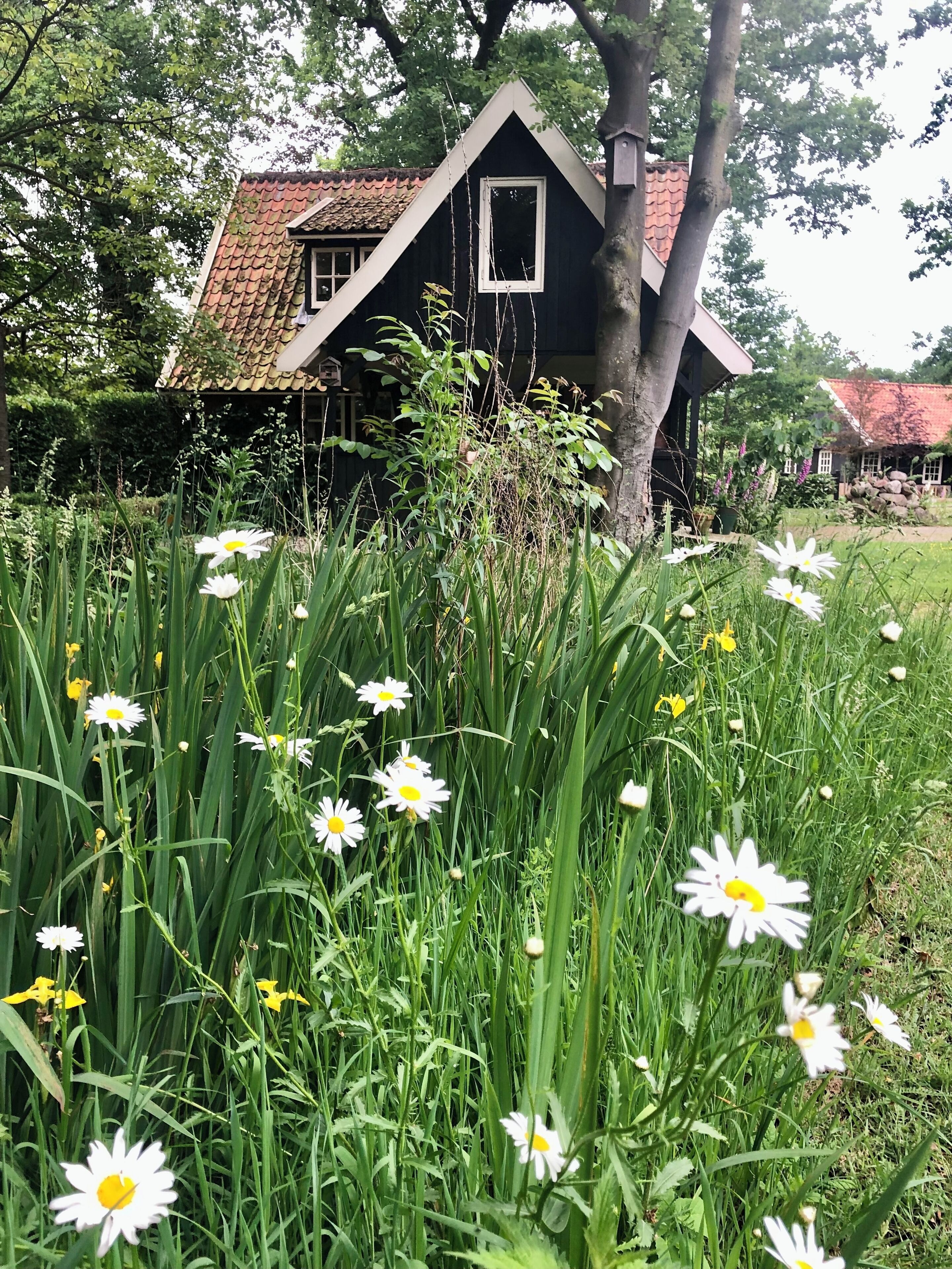 Details aan de buitenkant