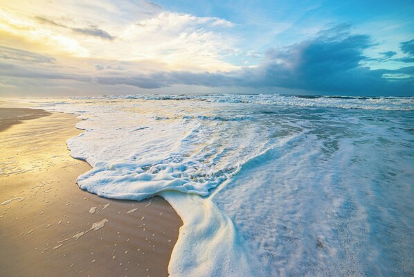 Beach - Hidden Pines Sanctuary - Bungalow Escape Near 30A (Santa Rosa Beach)