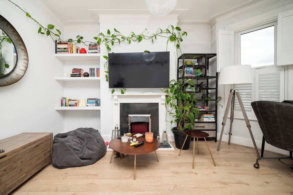 A living room with a fireplace, a television, a bookshelf, and a potted plant.