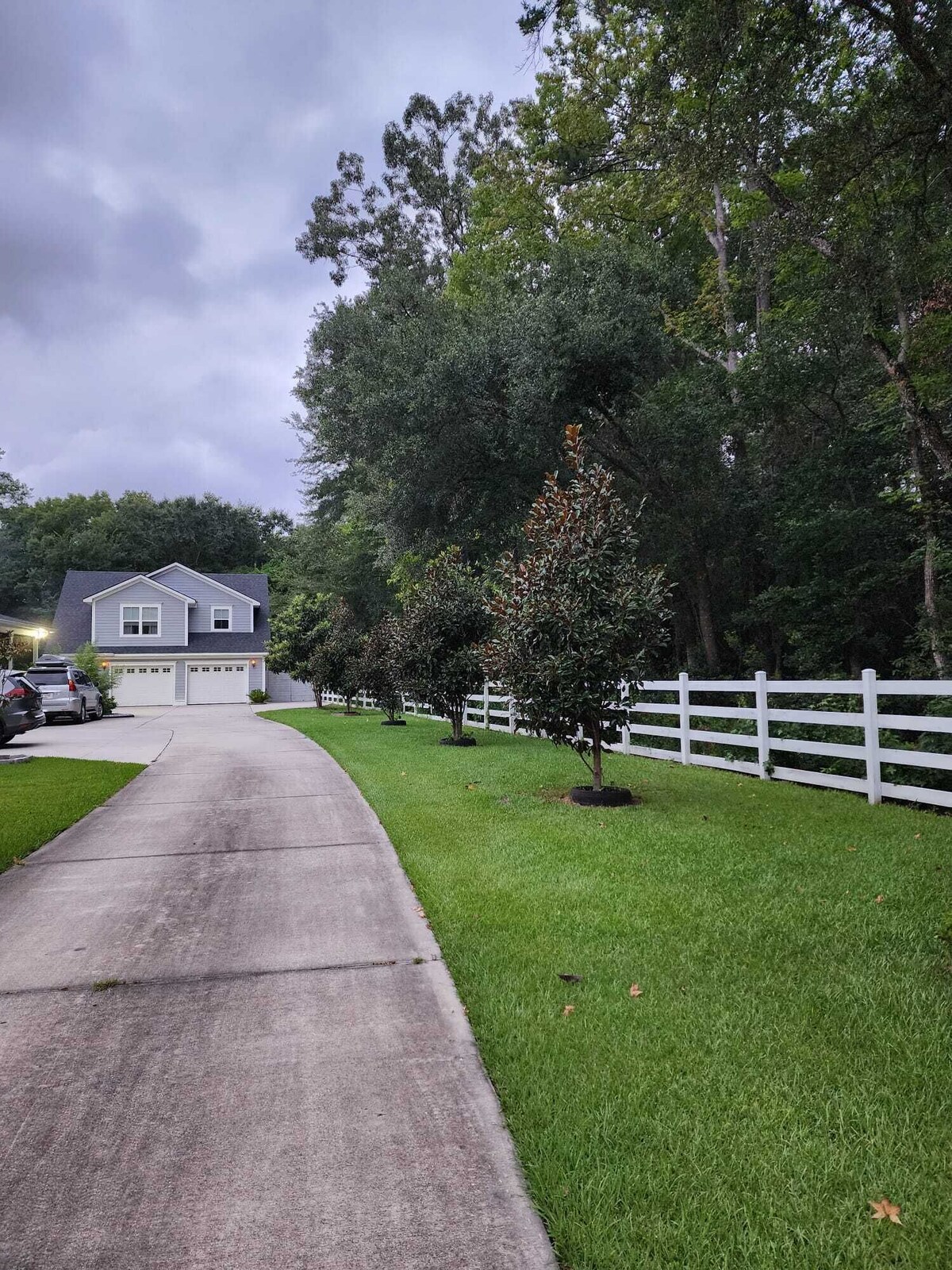 Imagen de perfil del propietario o de la propietaria