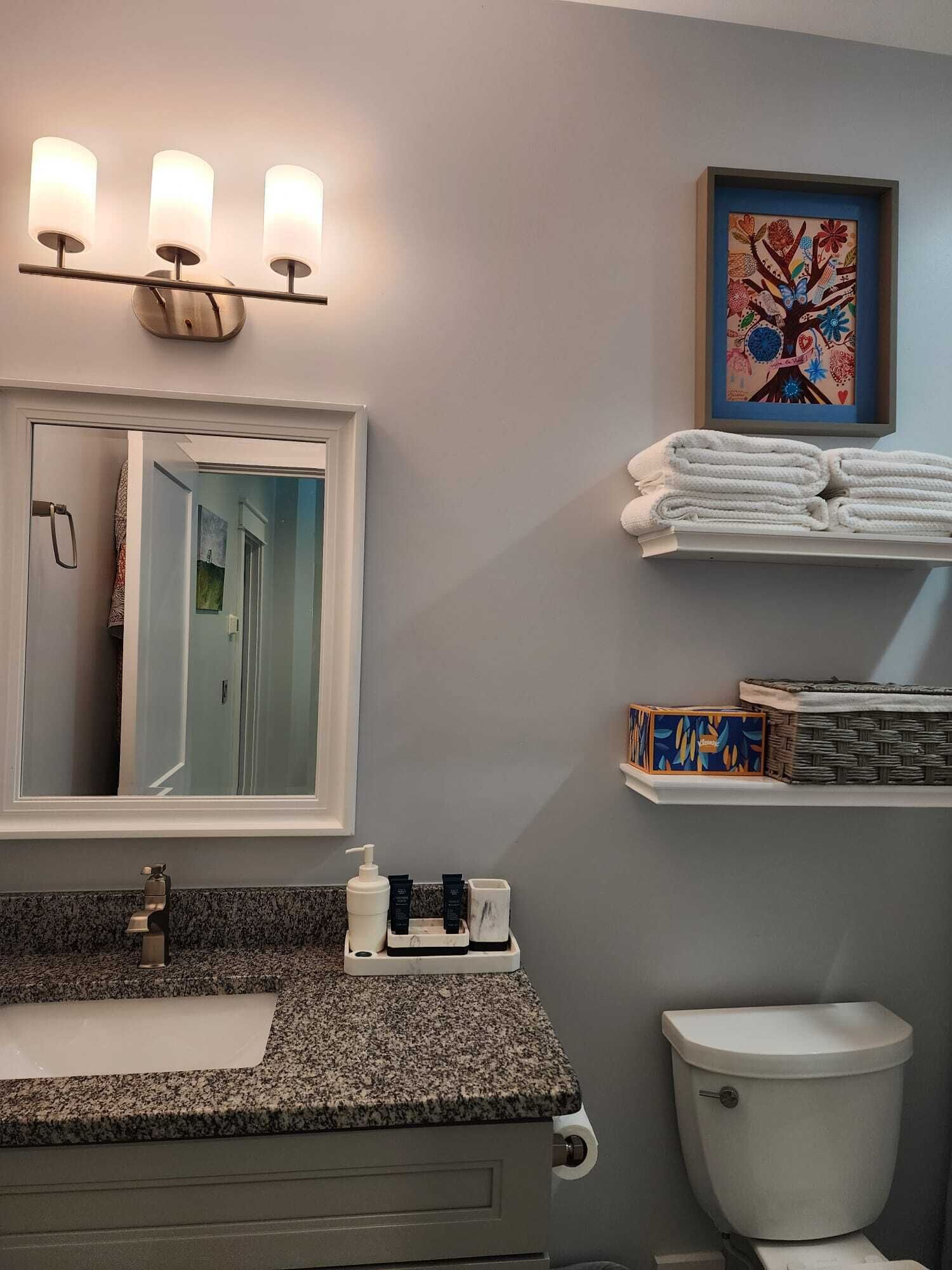 Hair dryer, towels, soap, toilet paper