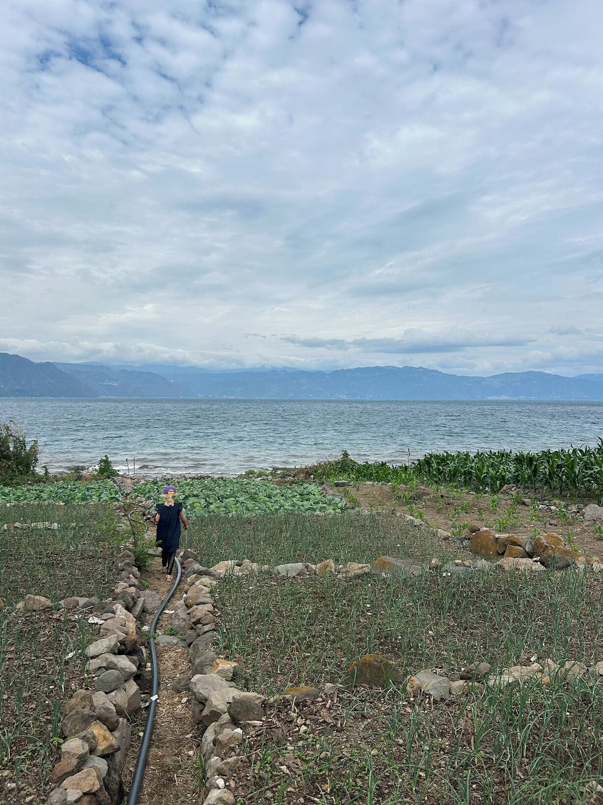 位於海灘上、黑沙