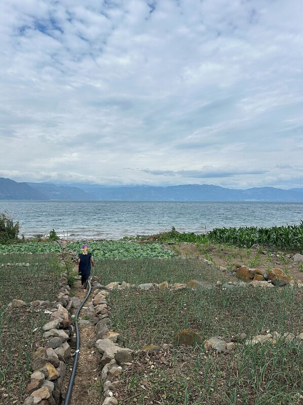 Una persona caminando por un sendero de piedra junto a un cuerpo de agua, con montañas al fondo.