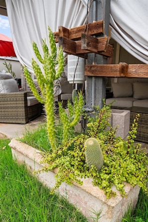 Property grounds - Desert Cove 4-bedroom house in vibrant Phoenix (Phoenix)
