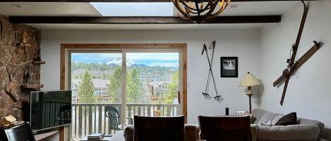 TV, fireplace, books