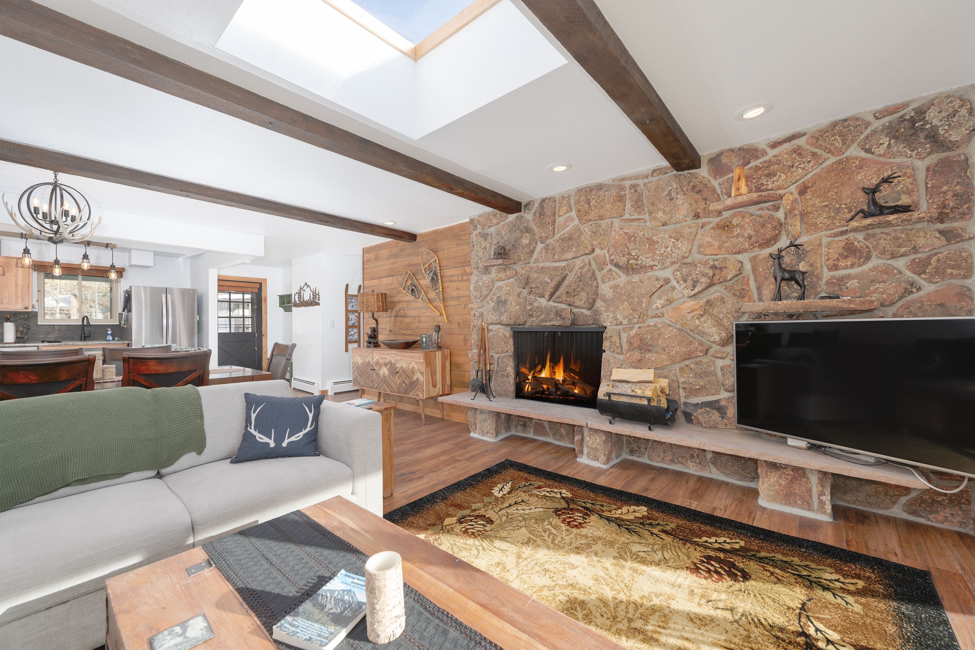 TV, fireplace, books