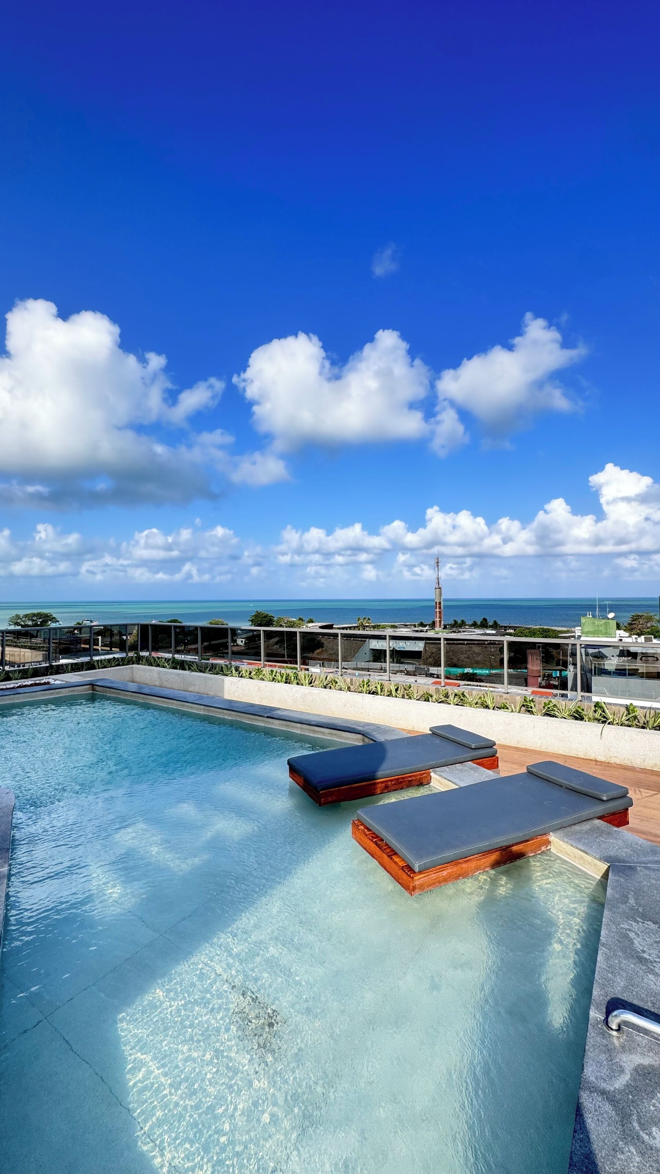 Studio Supérieur | Piscine | Piscine extérieure, parasols de plage, chaises longues
