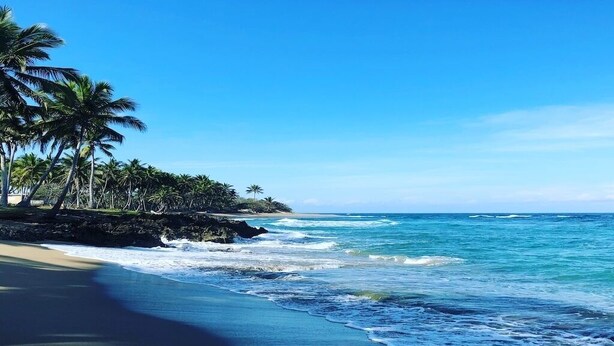 A beach with palm trees and ocean waves. - Charming loft by the sea KiteBeach Condo ByLucia (kite beach)