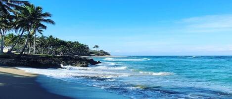A beach with palm trees and ocean waves.