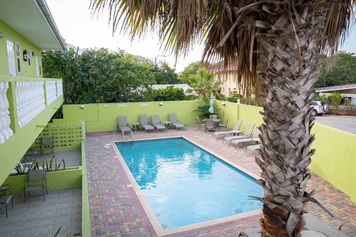 Una piscina con sillas de descanso y una palmera, rodeada por un muro verde y un patio de ladrillo.