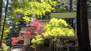 Unclassified image, 4 of 17, button - Urban Forest 2 Bedroom+ suite in Mid Century Architect's Home (Victoria)