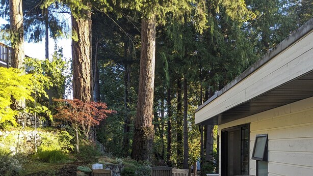Unclassified image, 1 of 17, button - Urban Forest 2 Bedroom+ suite in Mid Century Architect's Home (Victoria)