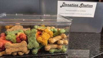 Un punto de donación con un letrero, un recipiente de plástico transparente lleno de golosinas con forma de perro de colores y una encimera de granito.