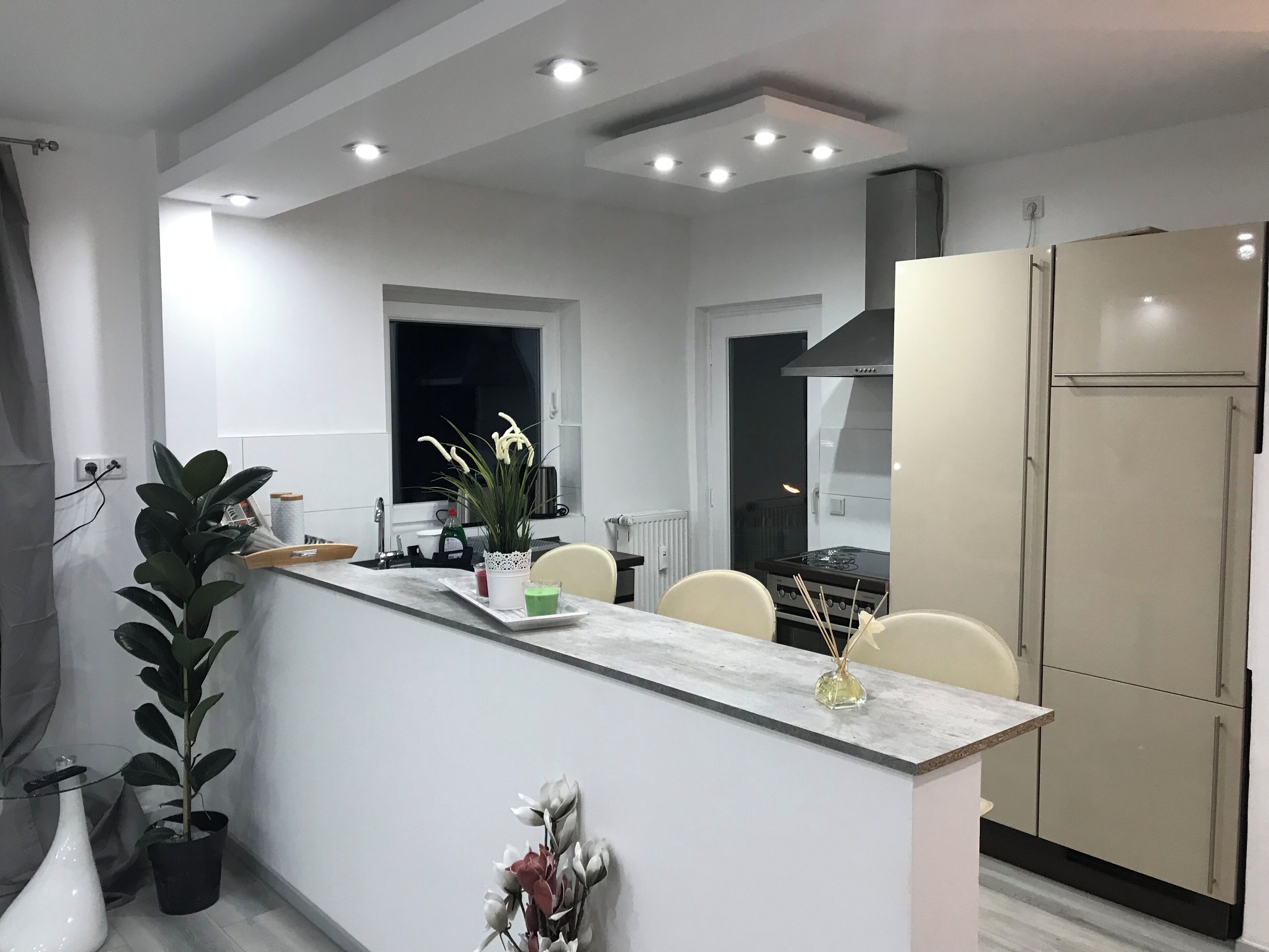 Comfort Apartment, Balcony, Garden View | Private kitchen