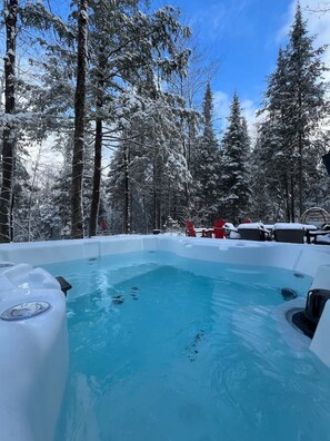 Un jacuzzi rodeado de árboles cubiertos de nieve.