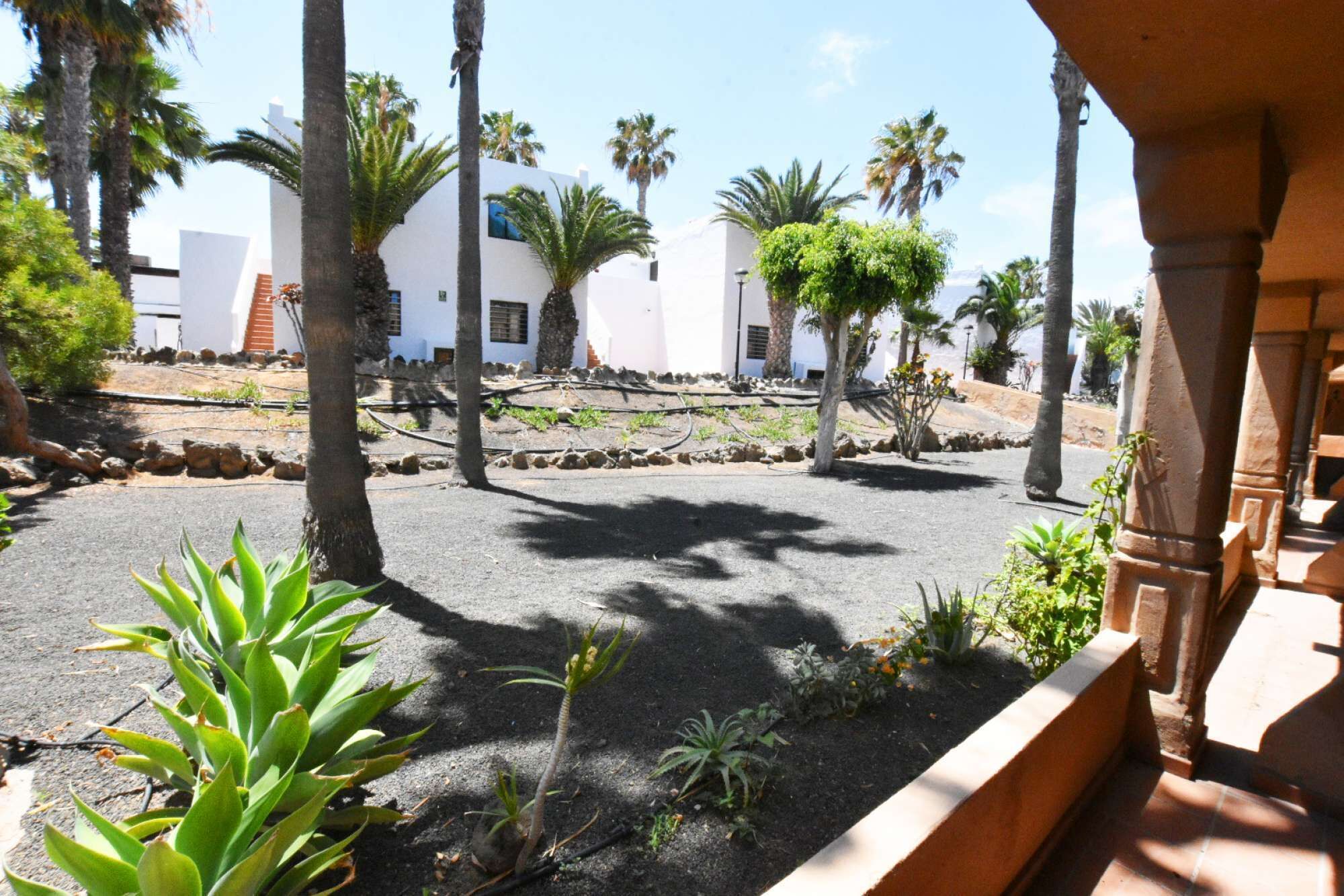 Jardines del alojamiento