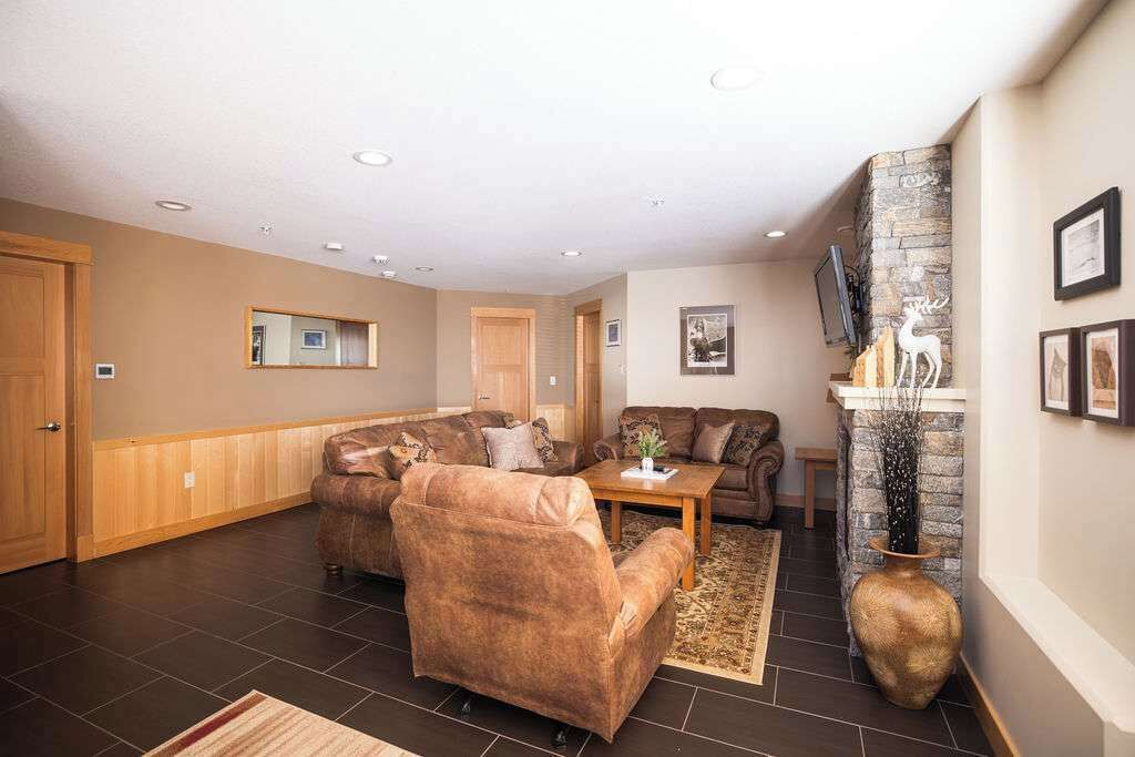 电视、DVD 播放器