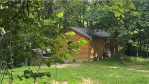 A wooden cabin surrounded by dense trees and grass.