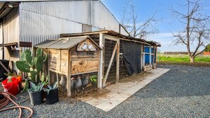 Property grounds - The Pecan Farm House (Porterville)