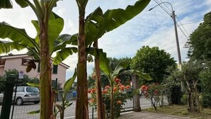 星評価なしの画像、2 / 28、ボタン
