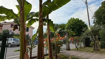 Chambre Double Confort, balcon, vue cour intĂ©rieure | Enceinte de lâhĂ©bergement