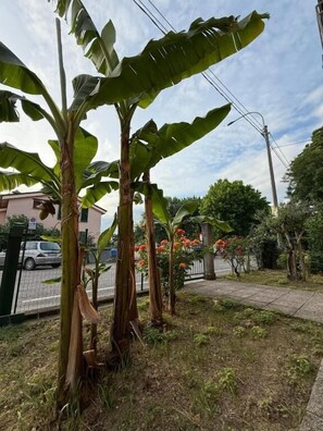 Comfort Double Room, Balcony, Courtyard View | Property grounds - B&B Il Balcone Fiorito (Imola)