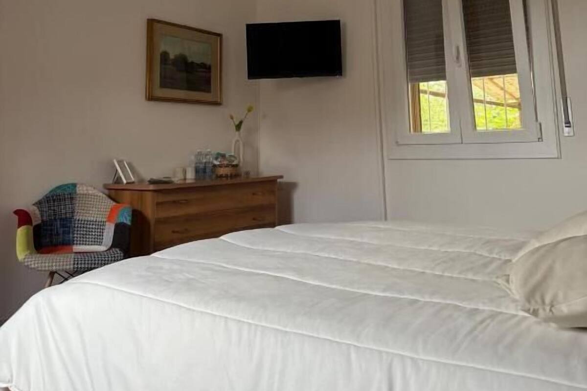 Un dormitorio con cama, cómoda, televisor y ventana.