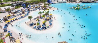 Spacious 4-Bedroom Home with Huge Sunny backyard, Near Busch Gardens/ Clearwater