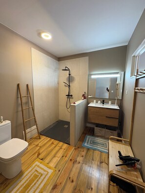 Hair dryer, towels, soap, toilet paper