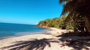Ein Strand mit klarem, blauem Wasser, kiesigem Ufer und dichter tropischer Vegetation.