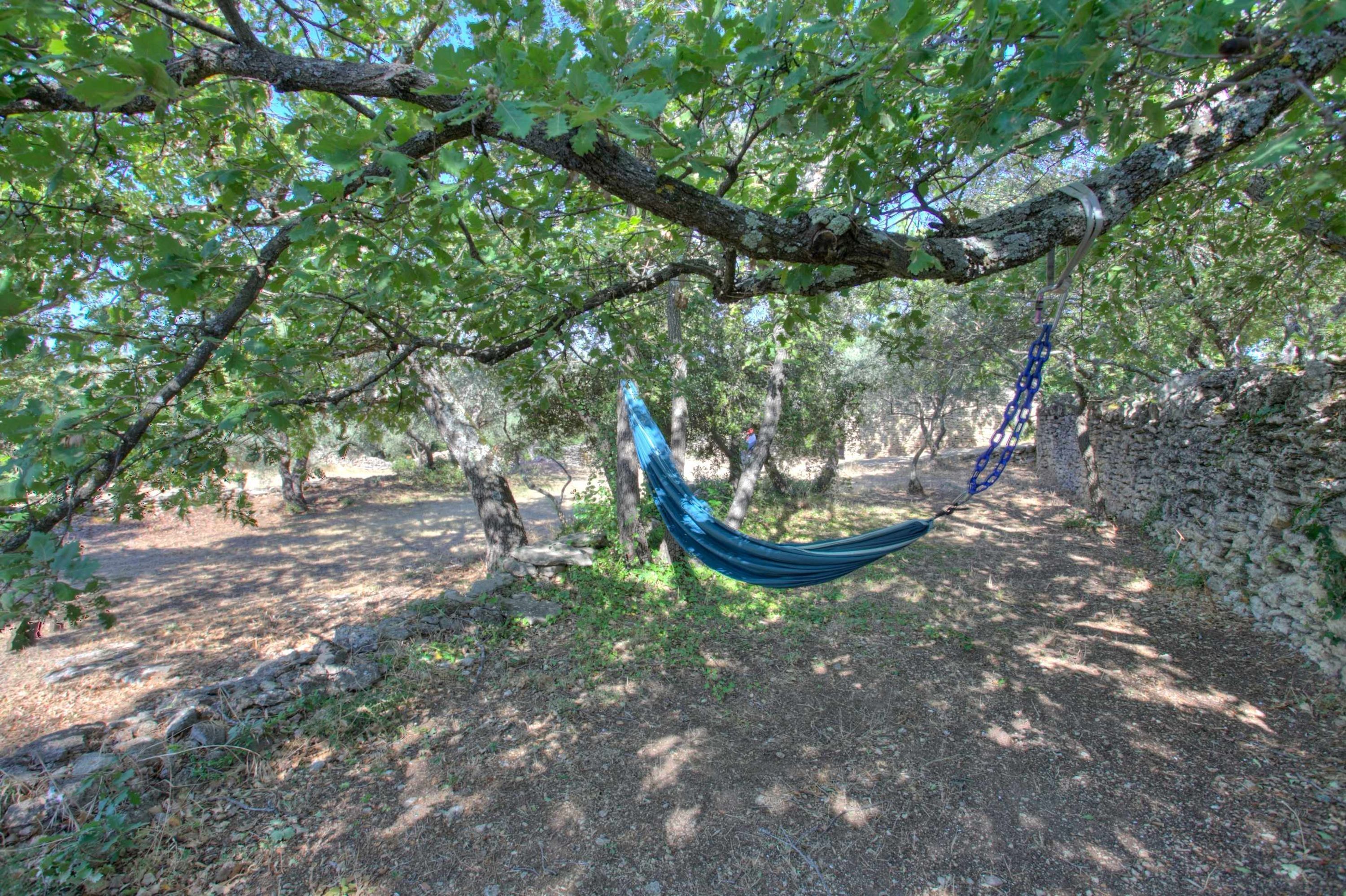 A hammock hanging from a tree in a wooded area with a stone wall in the background.