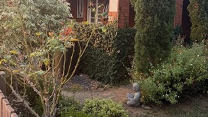 A brick house with a garden, a tall tree, and a statue.