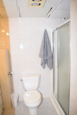 Shower, hair dryer, towels, soap - Cheerful one bedroom unit (Minneapolis)