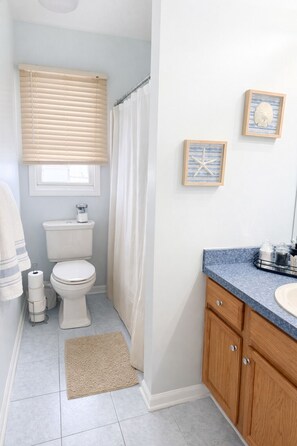 Hair dryer, towels, soap, toilet paper - Spacious 4-bedroom house with Pool in Suburban Rochester (Rochester)