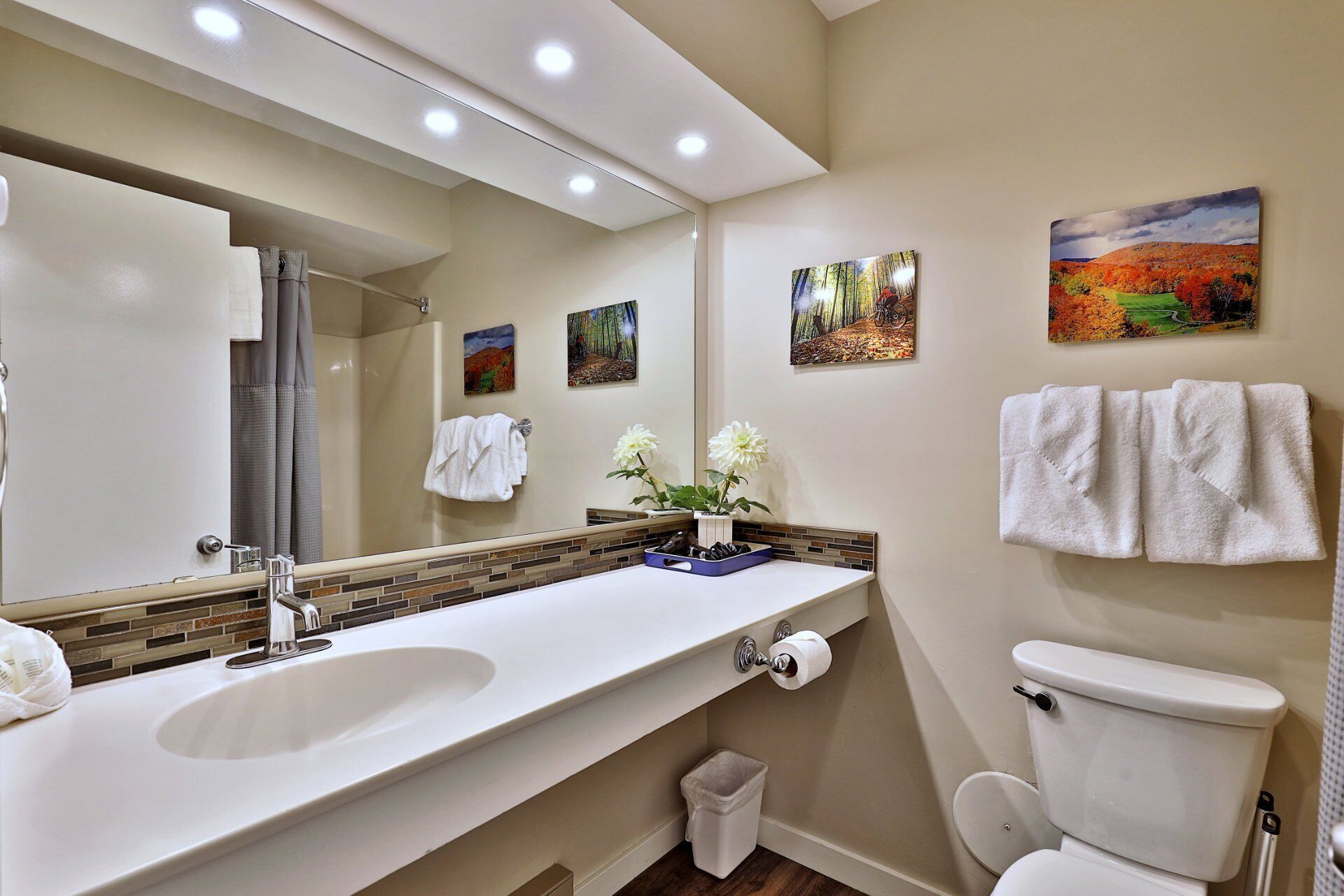 Hair dryer, towels, soap, shampoo