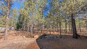 Interior - Cultus 15 (Bend)