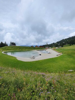 Beach - The chalet is 200m from the Barboleuse gondolas in Gryon in a quiet area surrounded by nature. Ameni (Gryon)