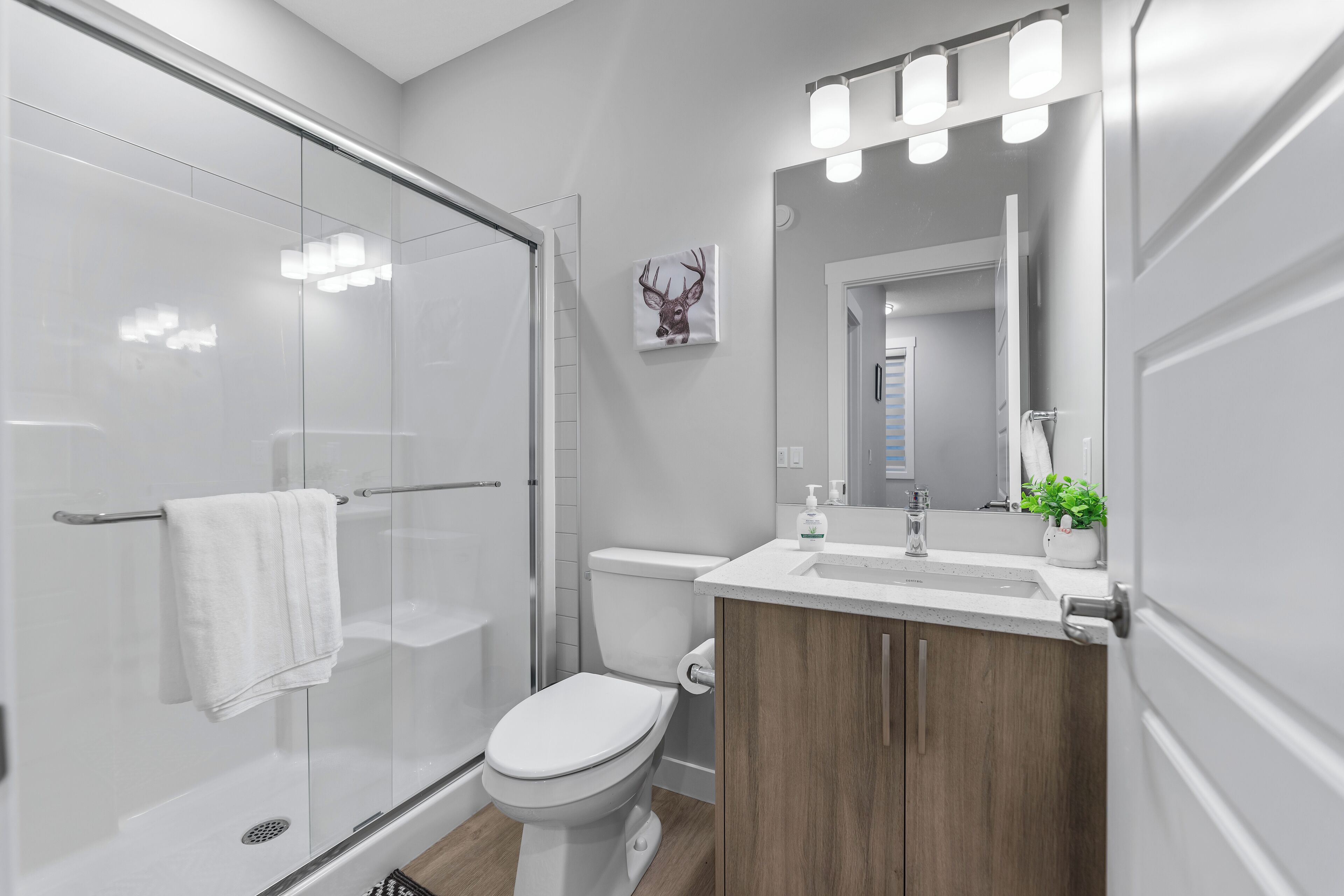 Serviettes fournies, savon, papier toilette