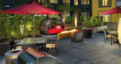 Cozy 1-bedroom apartment . Walking distance to restaurants and shops