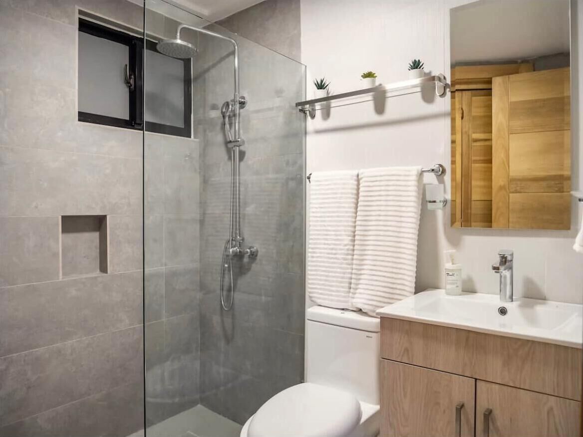 Shower, towels, soap, toilet paper