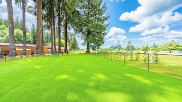 Terrein van de accommodatie