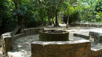 Ărea da propriedade