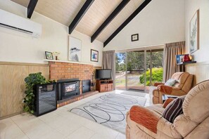 Smart TV, fireplace, books