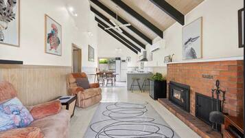Smart TV, fireplace, books