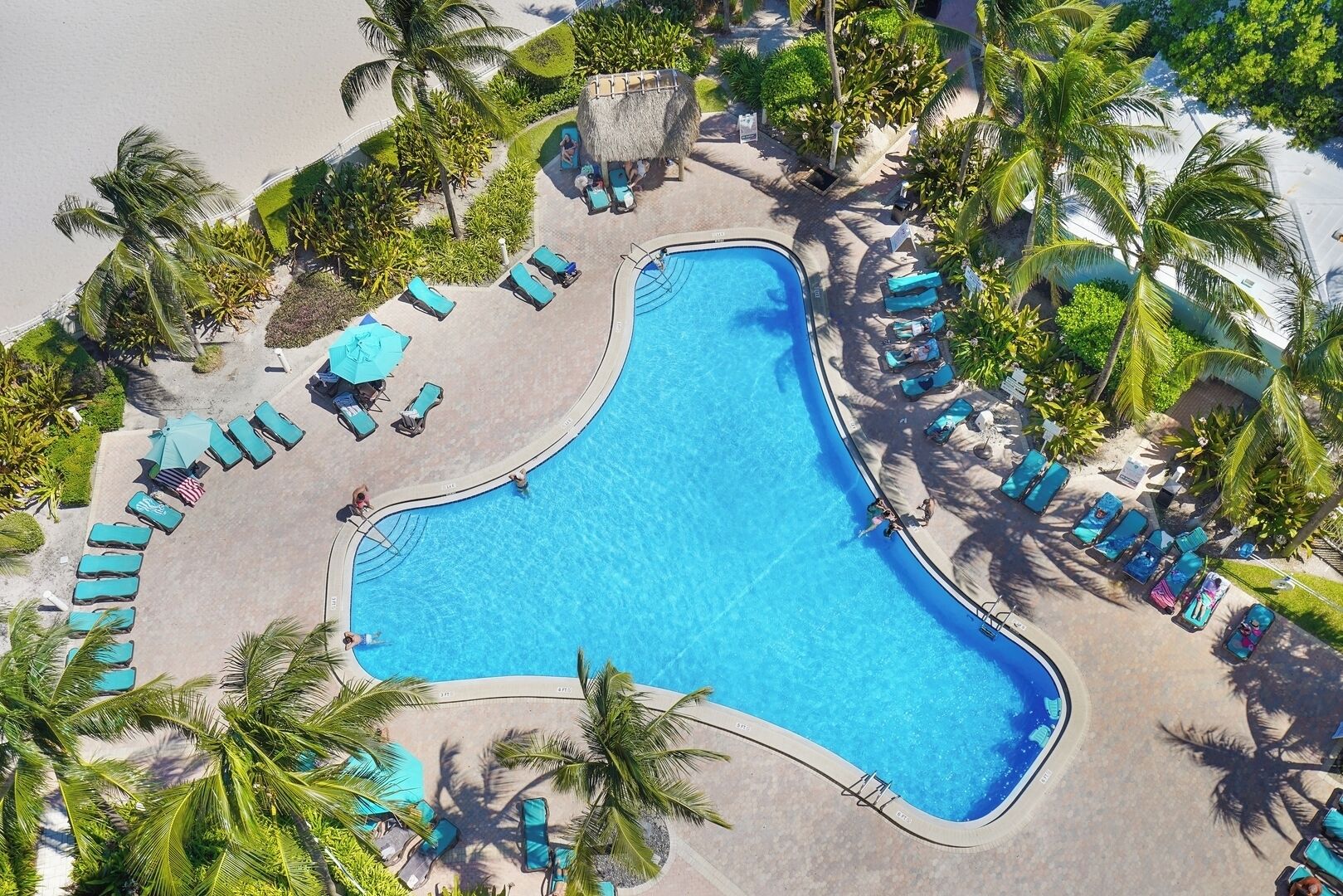 A large, irregularly shaped swimming pool surrounded by lounge chairs and palm trees.