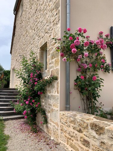 Aux Sources du Paradis