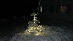 Un arbre recouvert de neige, illuminé par des lumières.