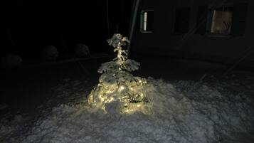 A snow-covered tree illuminated by lights.